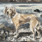 Chloë Holt RCA FRSA - “Honey” Commissioned Dog Portrait