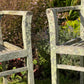 Pair of Teak Chairs with Incredible Lichens Mid-20th Century