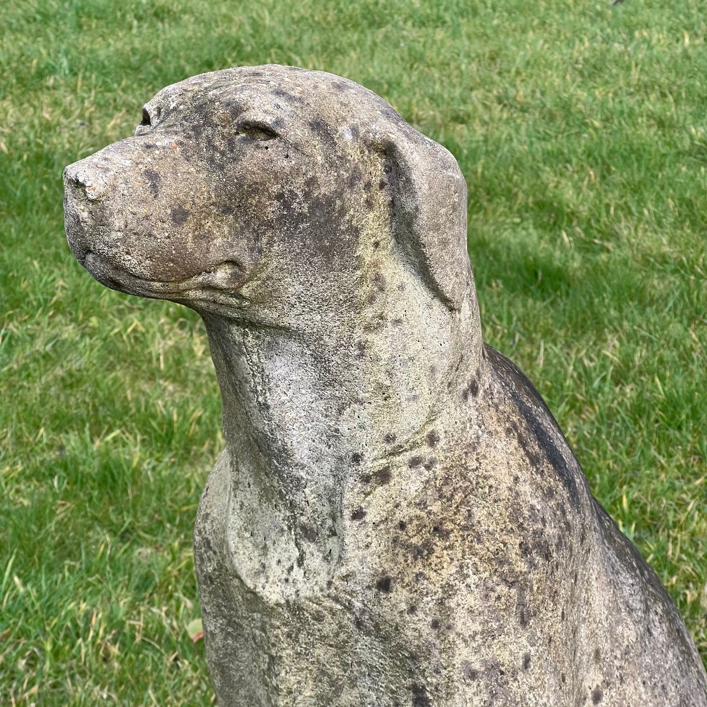 Seated Hound Dog Statue