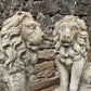 Stone Composite Lions Mid 20th Century