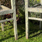 Pair of Teak Chairs with Incredible Lichens Mid-20th Century