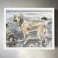 Chloë Holt RCA FRSA - “Honey” Commissioned Dog Portrait
