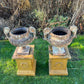 Pair of French Cast Iron Urns c.1870