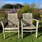 Pair of Teak Chairs with Incredible Lichens Mid-20th Century