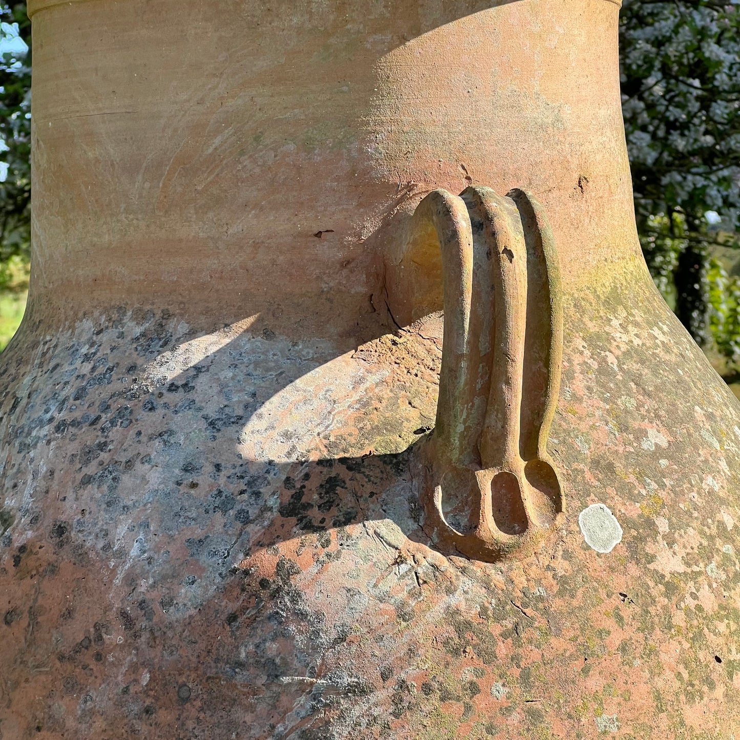 Huge Terracotta Amphora Jar