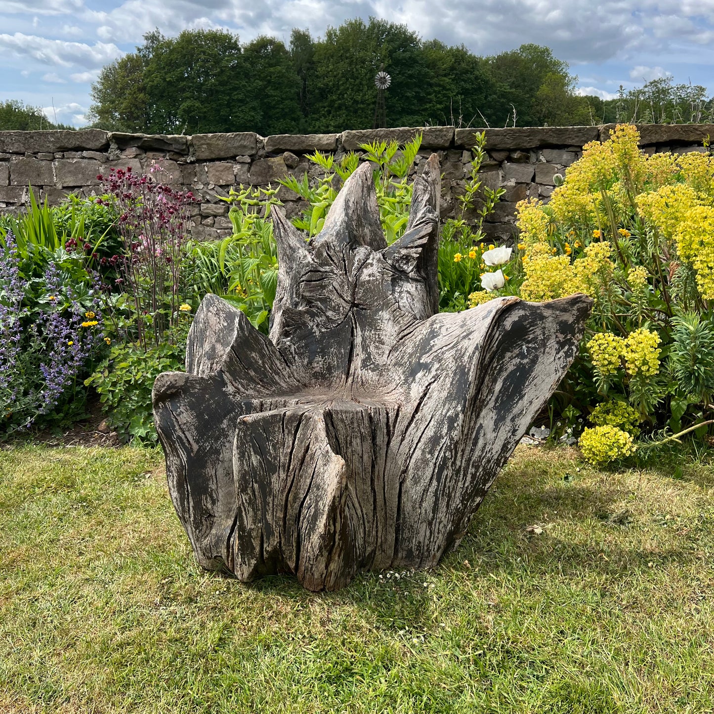 Primitive Star-Form Root Chair Mid 20th Century