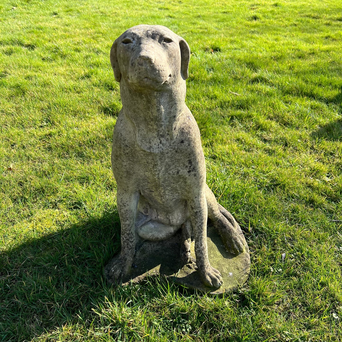 Seated Hound Dog Statue