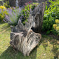 Primitive Star-Form Root Chair Mid 20th Century