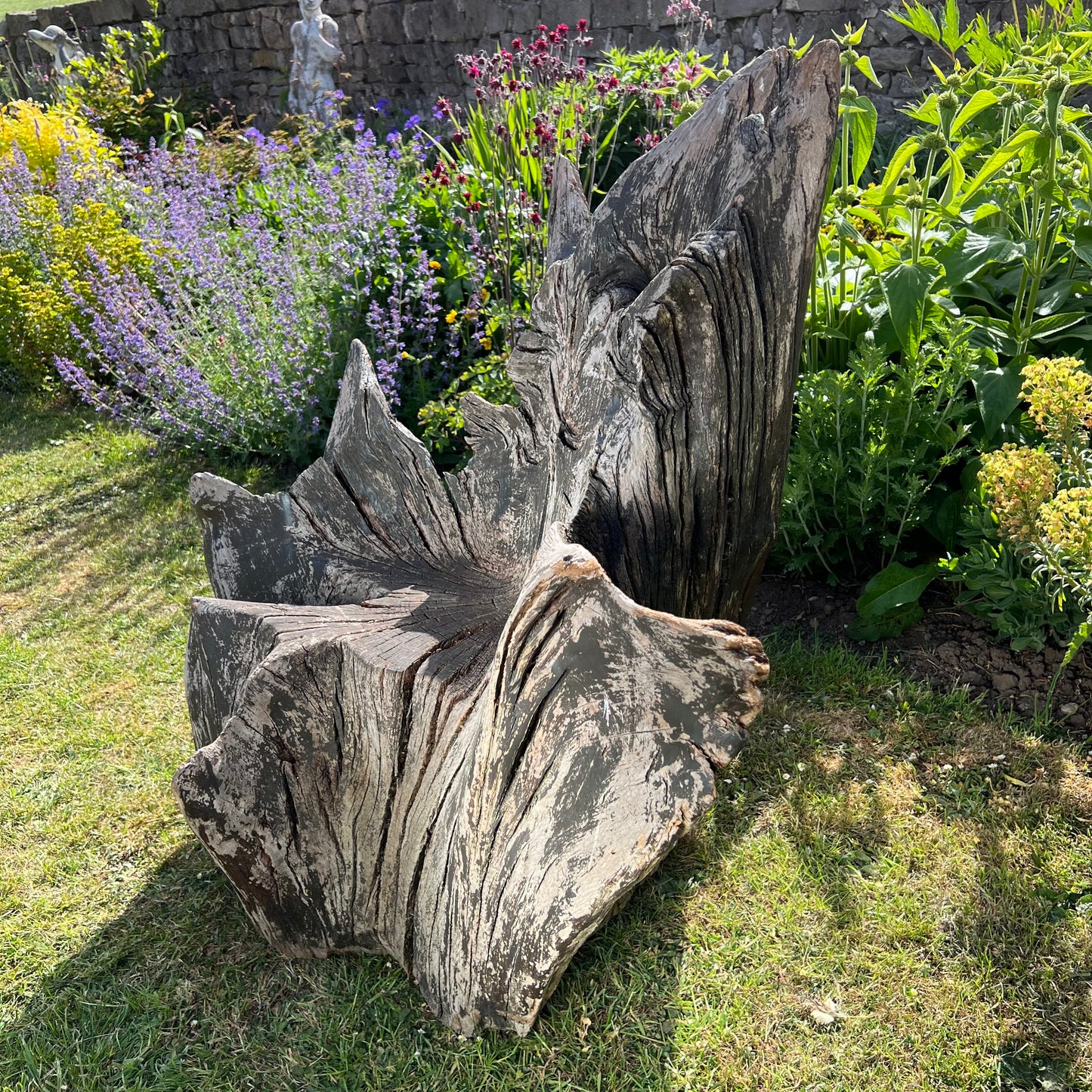 Primitive Star-Form Root Chair Mid 20th Century
