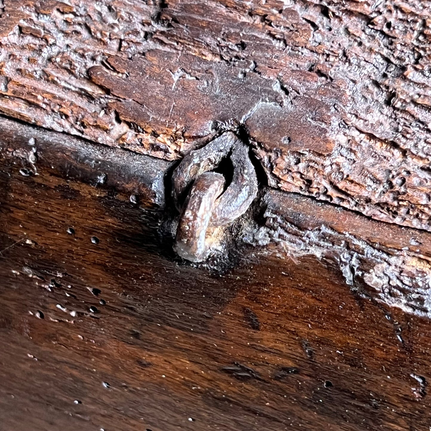 Late Medieval Northern European Parish Alms Box c.1480–1520