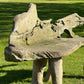 Primitive Organically Formed Root Bench