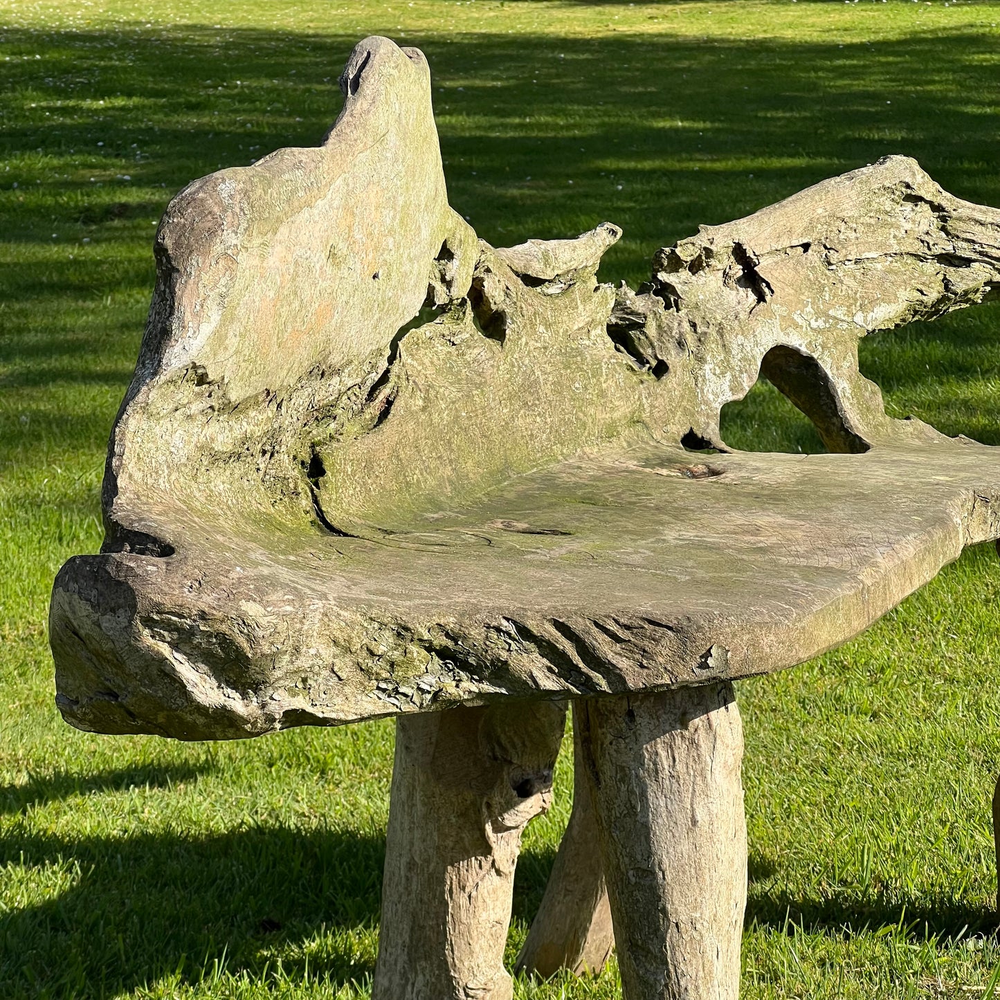Primitive Organically Formed Root Bench