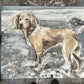 Chloë Holt RCA FRSA - “Honey” Commissioned Dog Portrait