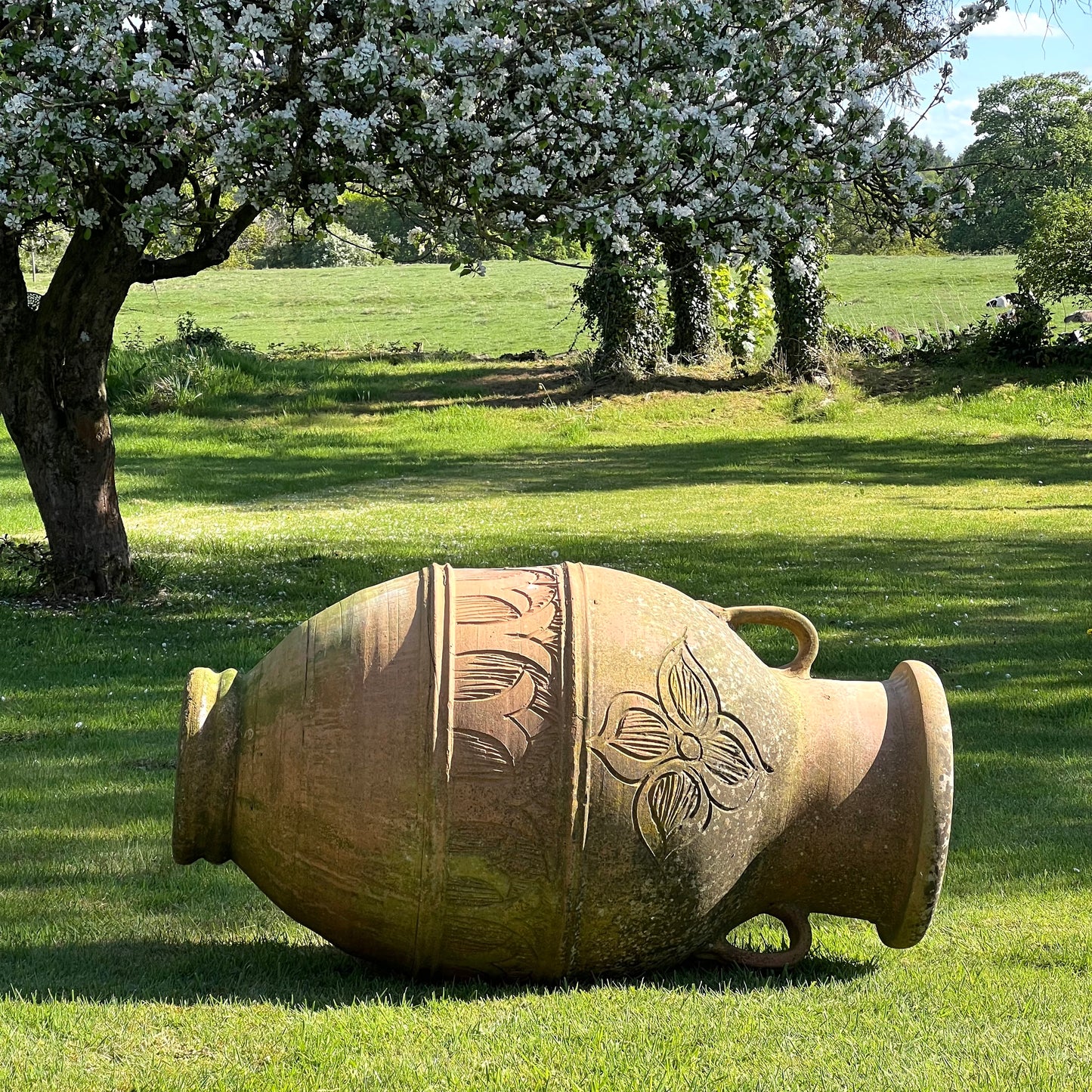 Huge Terracotta Amphora Jar