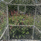 French Wirework Birdcage on Stand c.1880