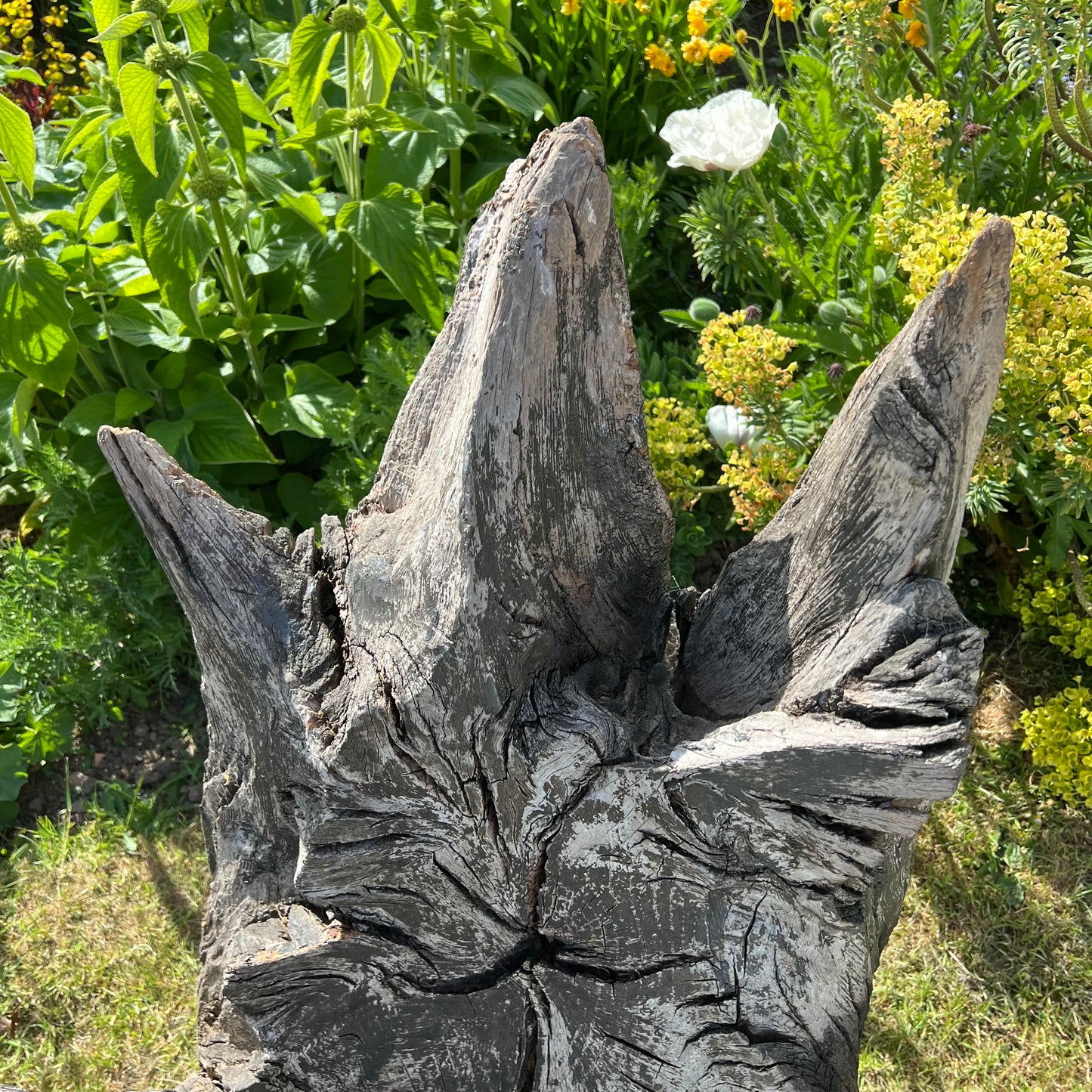 Primitive Star-Form Root Chair Mid 20th Century
