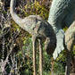 Set of Three Bronze Garden Cranes