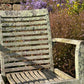 Pair of Teak Chairs with Incredible Lichens Mid-20th Century