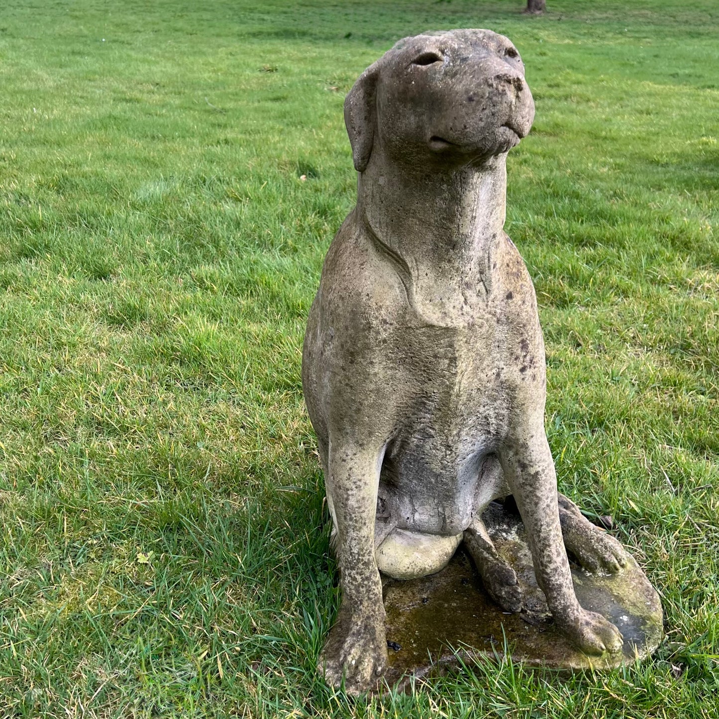 Seated Hound Dog Statue