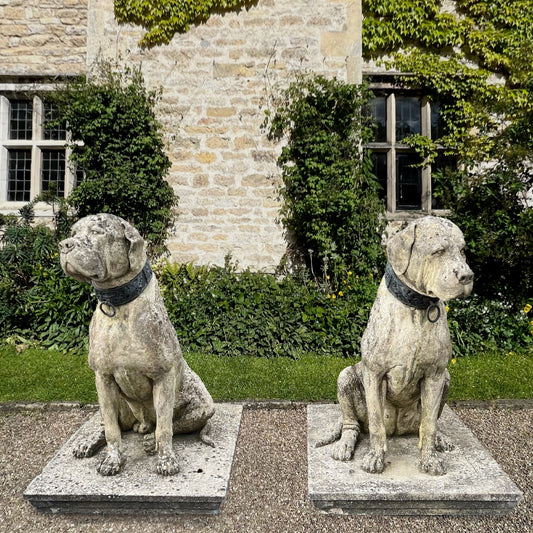 Pair of English Mastiff Guardian Statues with Bronze Collars