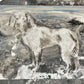 Chloë Holt RCA FRSA - “Honey” Commissioned Dog Portrait