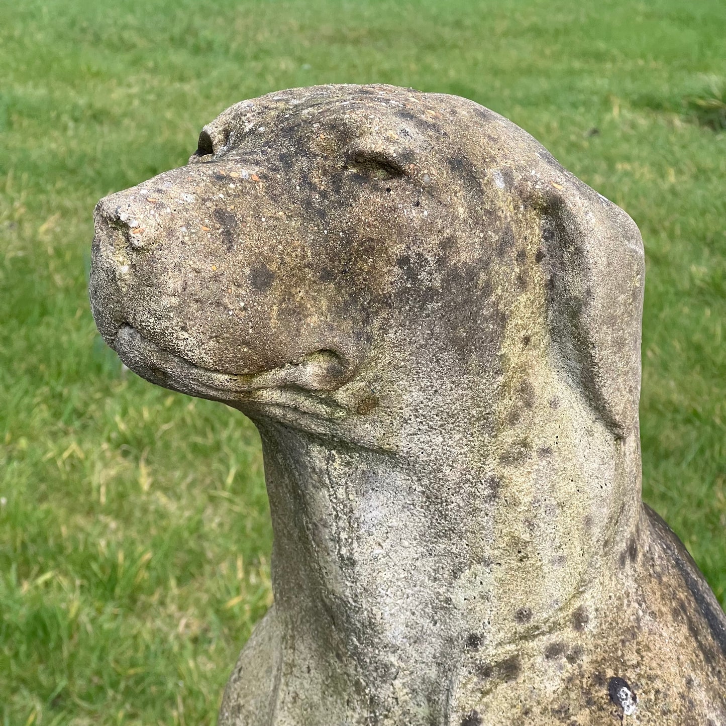 Seated Hound Dog Statue