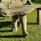 Primitive Organically Formed Root Bench