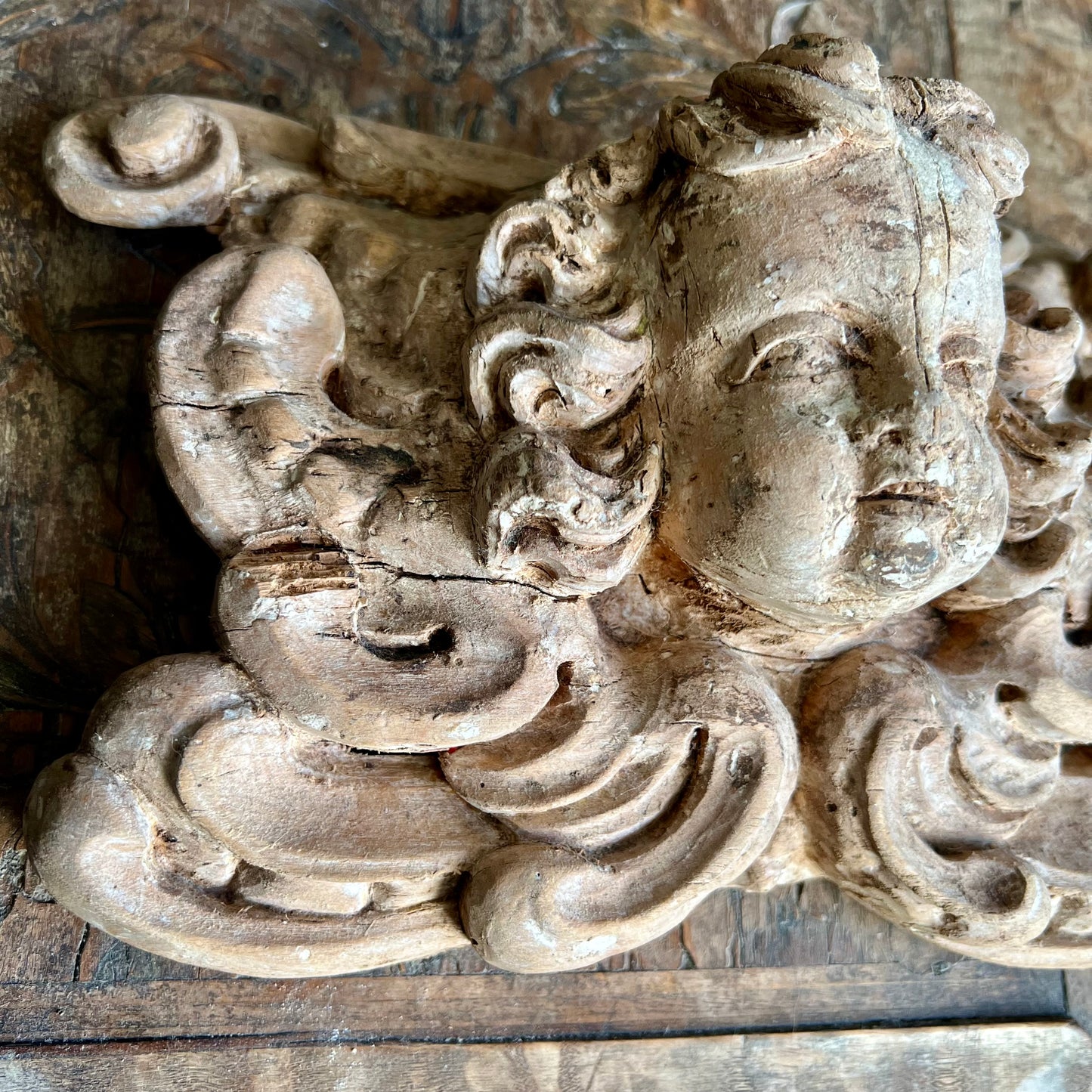 Italian Baroque Carved Limewood Cherub or Angel Carving with Acanthus Scrolls, c.1680–1720