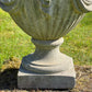 Robert Adam Style Swagged Urn Late 20th Century