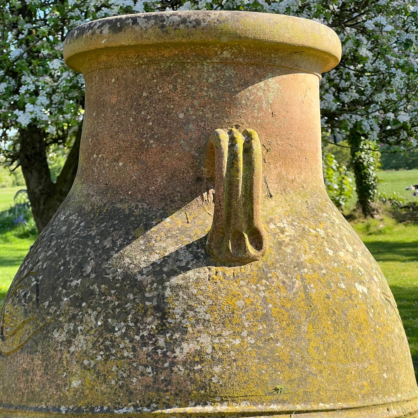 Huge Terracotta Amphora Jar