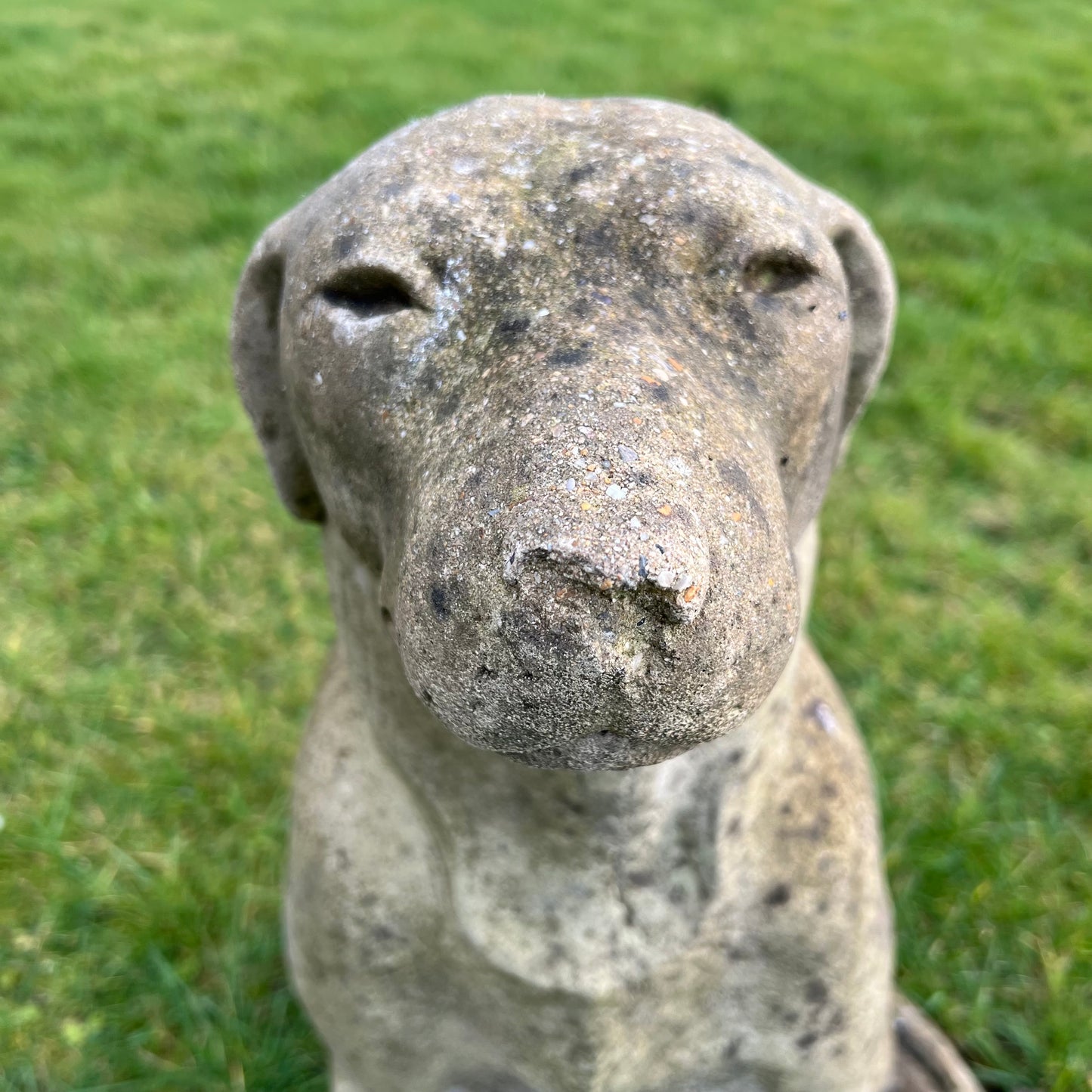 Seated Hound Dog Statue