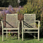 Pair of Teak Chairs with Incredible Lichens Mid-20th Century