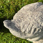 Pair of French Composite Stone Geese Mid-20th Century