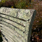 Pair of Teak Chairs with Incredible Lichens Mid-20th Century