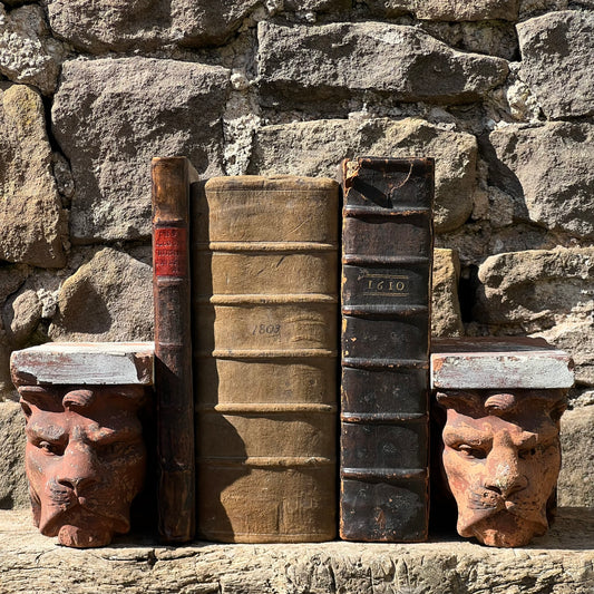 Pair of Victorian Lions Head Corbels by Jabez Thompson c.1875