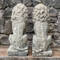 Stone Composite Lions Mid 20th Century