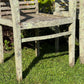 Pair of Teak Chairs with Incredible Lichens Mid-20th Century