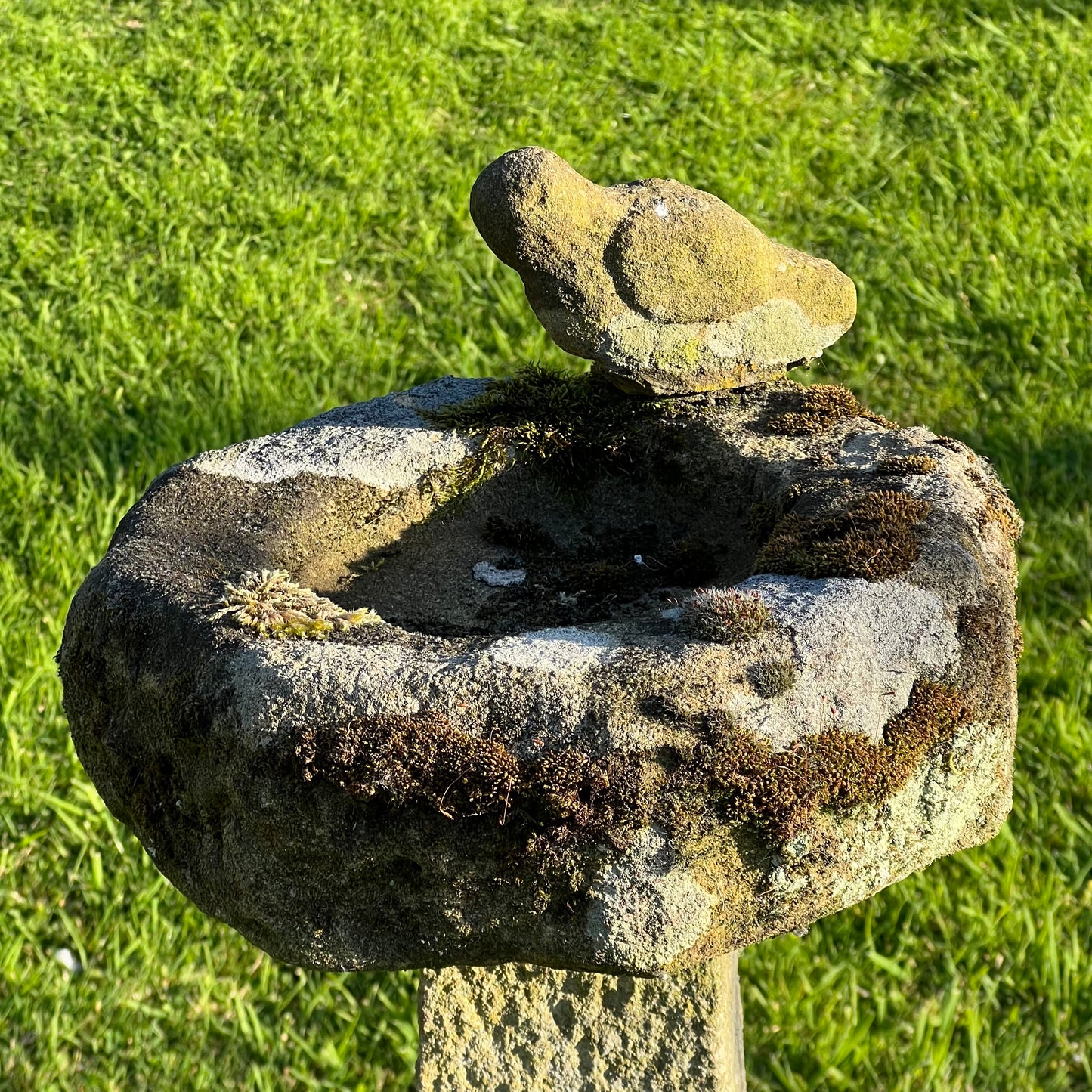 York Stone Bird Birdbath Late 19th/Early 20th Century