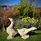 Pair of French Composite Stone Geese Mid-20th Century