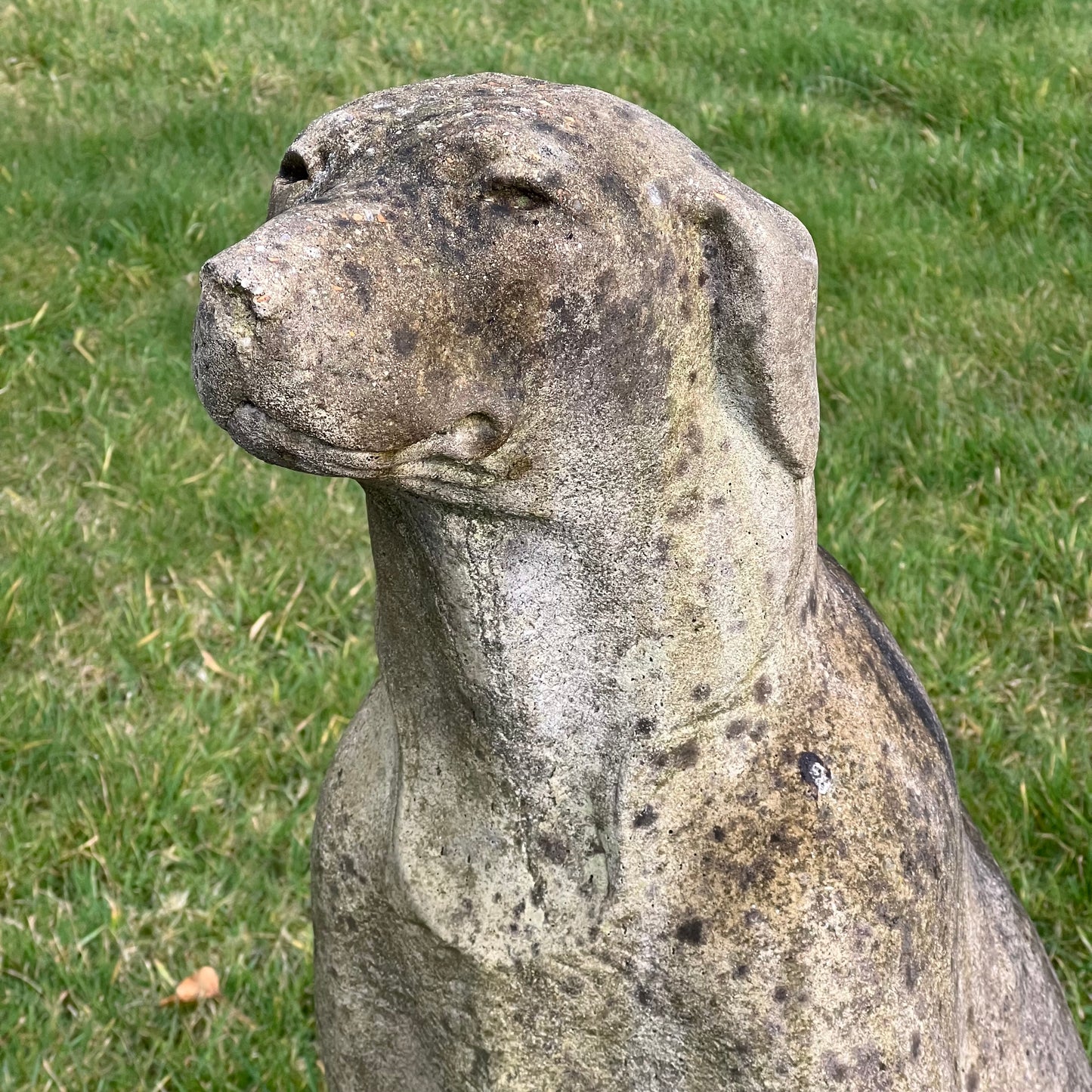 Seated Hound Dog Statue