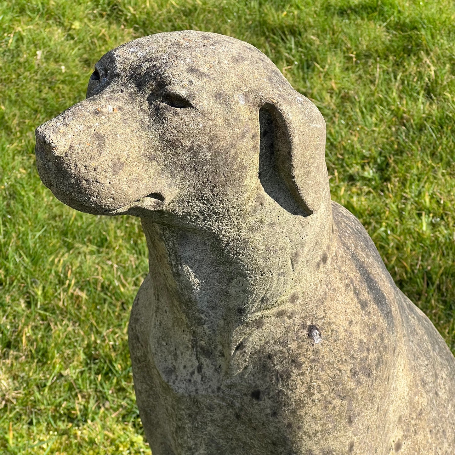 Seated Hound Dog Statue