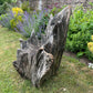 Primitive Star-Form Root Chair Mid 20th Century