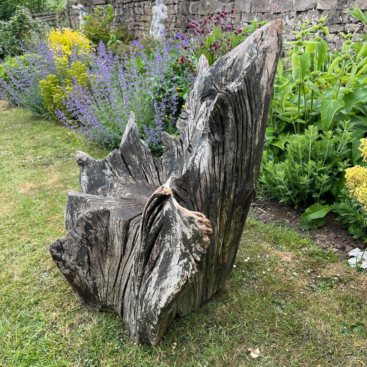 Primitive Star-Form Root Chair Mid 20th Century