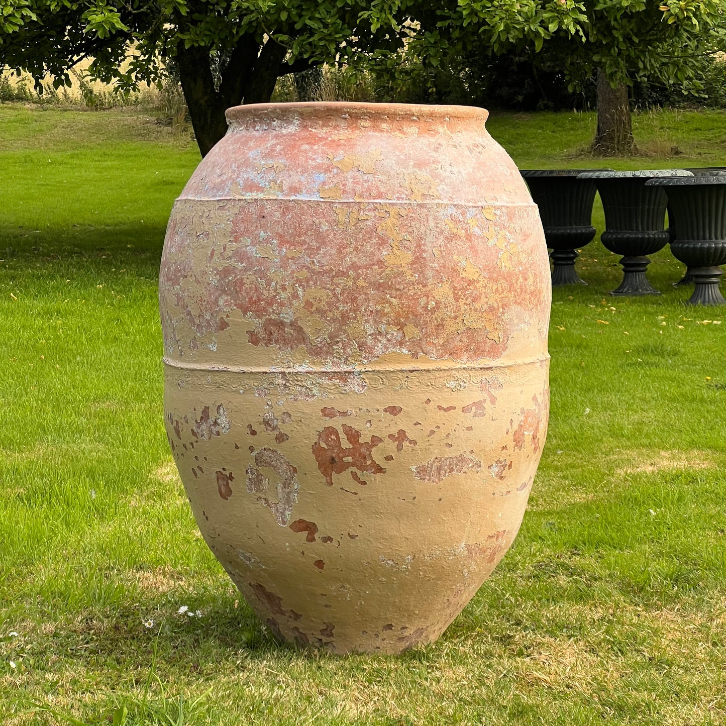 Oversized Mediterranean Terracotta Storage Jar Early to Mid 20th Century