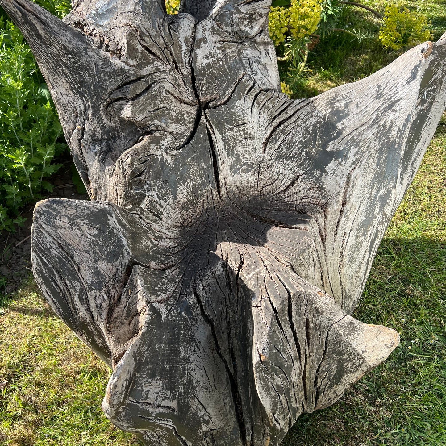 Primitive Star-Form Root Chair Mid 20th Century