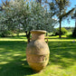 Huge Terracotta Amphora Jar