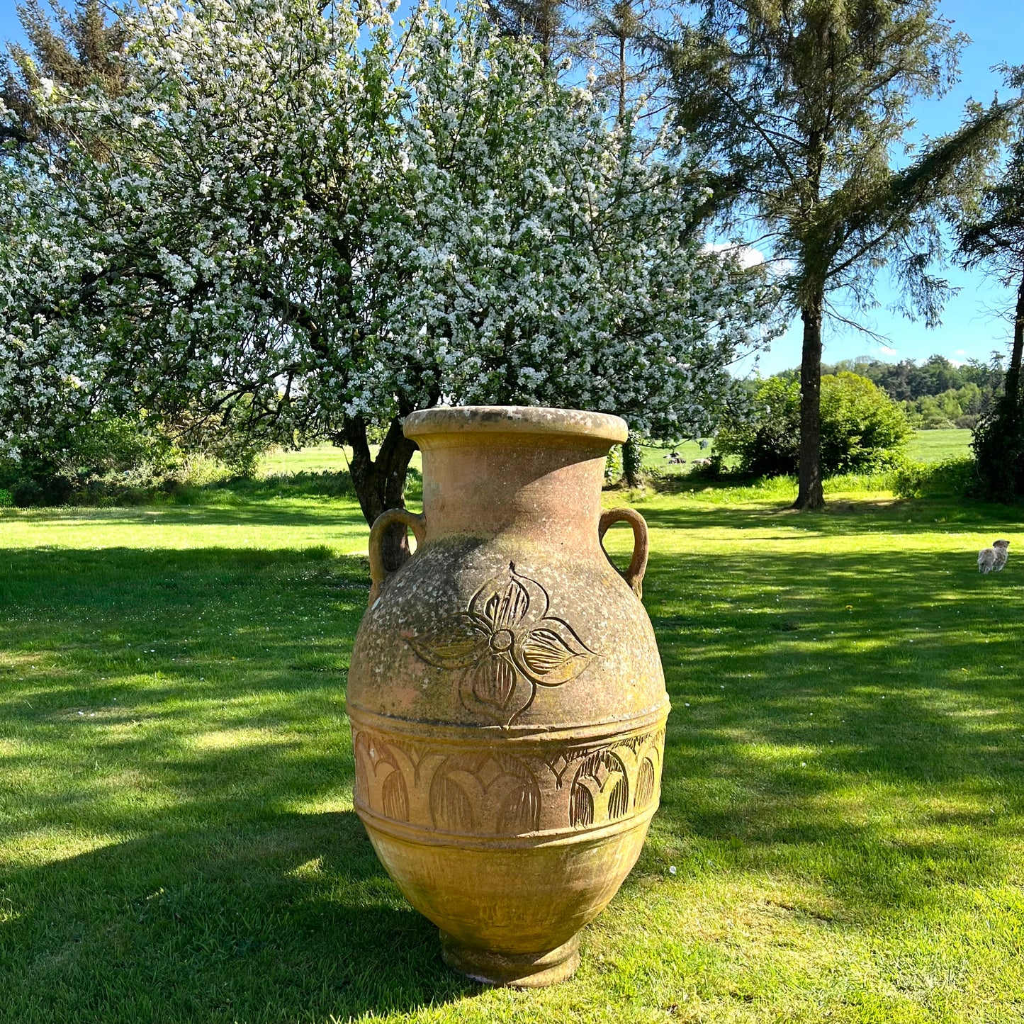 Huge Terracotta Amphora Jar