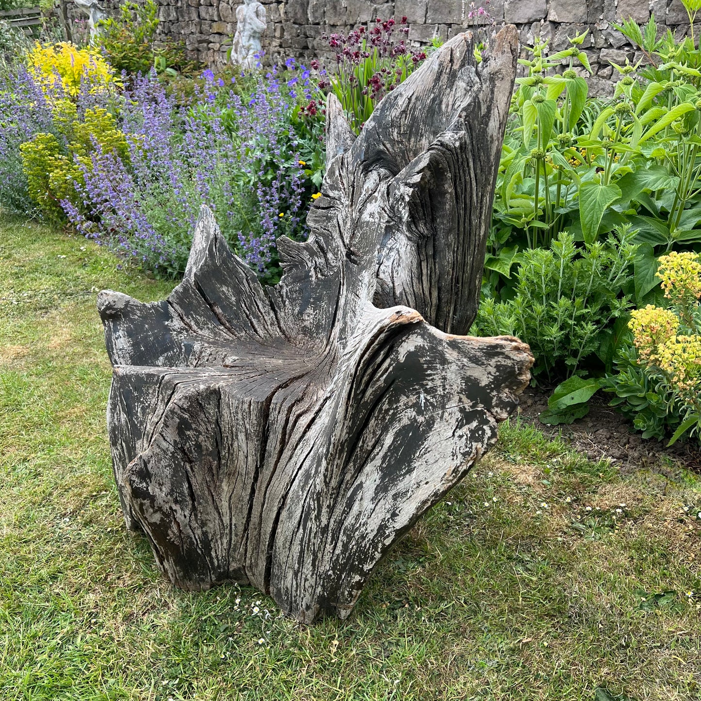 Primitive Star-Form Root Chair Mid 20th Century