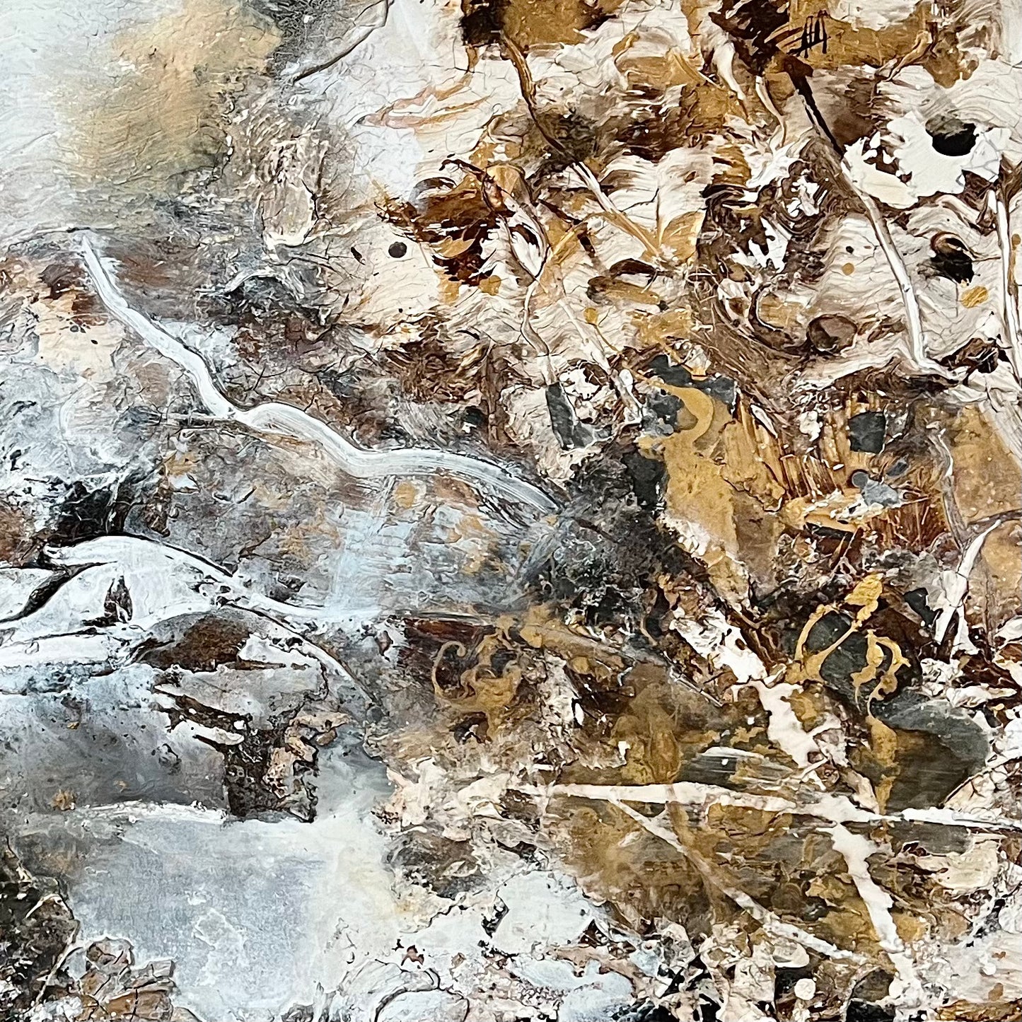 Chloë Holt RCA FRSA - “Where The Light Gathers”
