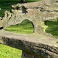 Primitive Organically Formed Root Bench